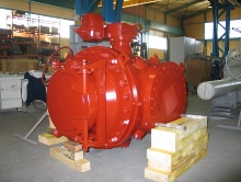 Painted industrial valve assembly